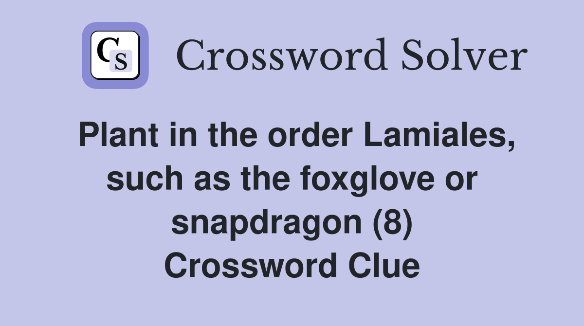 Plant in the order Lamiales, such as the foxglove or snapdragon (8